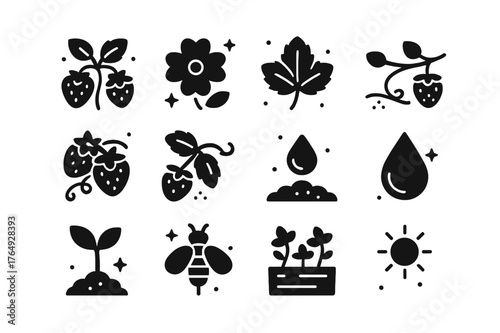Strawberry Plant Icons. Strawberry Plants. Solid icons set of Strawberry Plants: strawberry plant, strawberry flower, leaf, runner, fruit cluster, vine, soil,