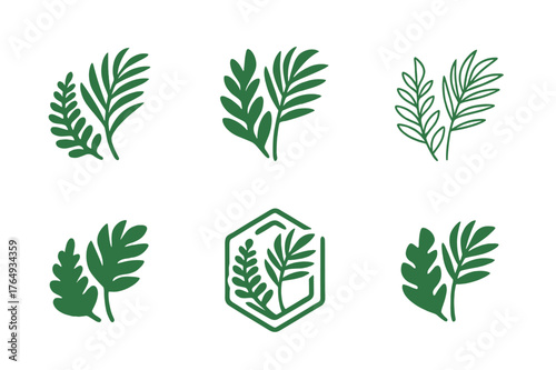 Tropical Logo Variations. Tropical rainforest. Set Logo of Tropical rainforest: palm frond and fern pair. harmonious logo variations of the same emblematic