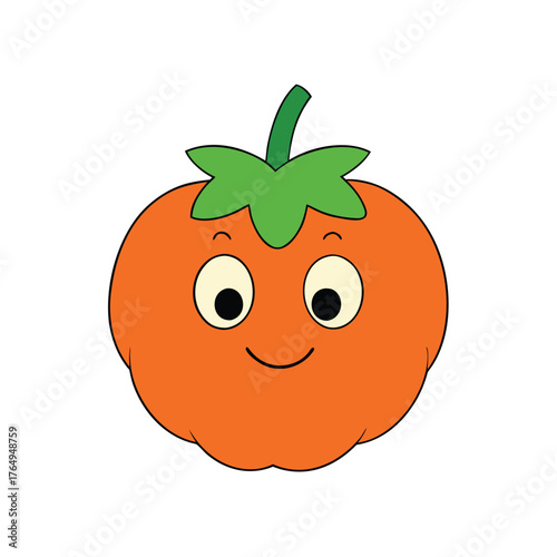 Salmonberry Orange Pink Friendly Face Vector