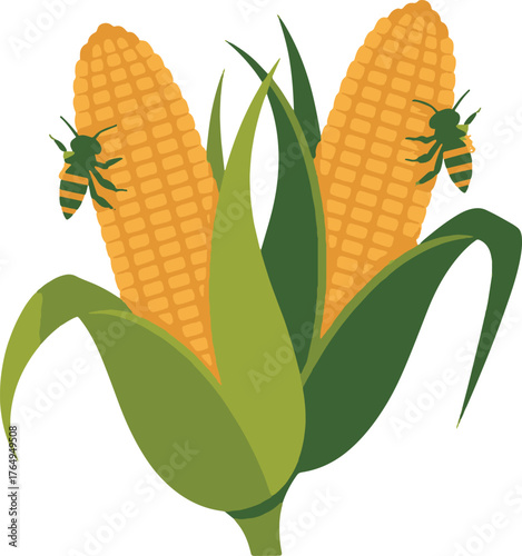 Two bees sitting on corn cobs with green leaves vector illustration