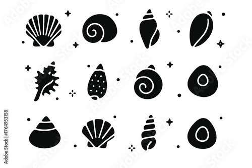 Seashell Icon Collection. Beachcombing Seashells. Solid icons set of Beachcombing Seashells: cockle shell, moon snail shell, tulip shell, olive shell, murex