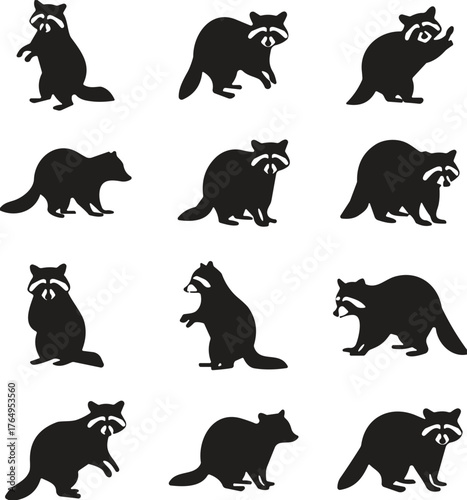 Set of twelve black raccoon silhouette icons in various poses including standing, walking, sitting, and crouching for design use