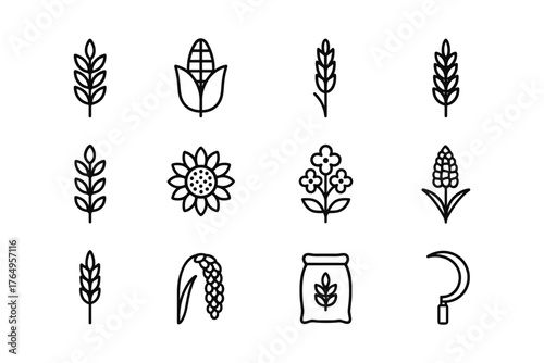Agriculture and harvest icons: various crops and farming elements in outlined style