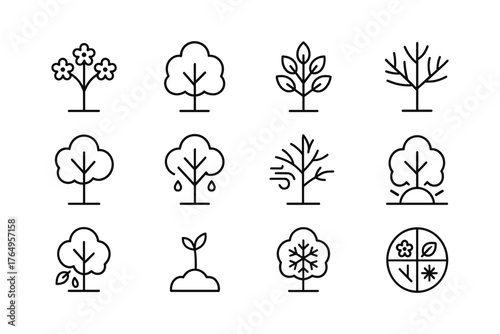 Minimalist tree icons set depicting different weather and seasonal changes