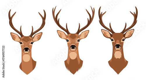 Three majestic deer heads with large antlers showcased against a white background.