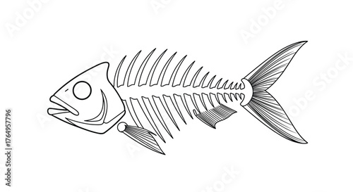 A detailed scientific illustration of a fish skeleton showing its bone structure and anatomy.