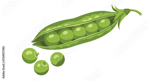 A fresh green pea pod with ripe peas falling out onto a white background.