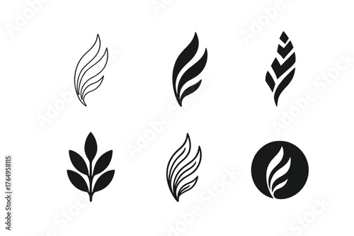 Seaweed Logo Variations. Seaweed foraging. Set Logo of Seaweed foraging: flowing kelp frond. harmonious logo variations of the same emblematic concept, each