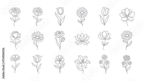 Floral Elegance: A delicate collection of elegant floral line drawings. Each bloom, meticulously sketched, captures the refined simplicity of various botanical treasures.
