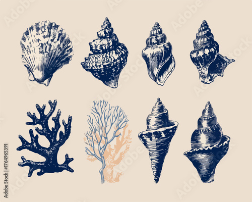 Desenho intrincado de conchas marinhas e corais, ilustrando a beleza natural dos oceanos e a diversidade da vida marinha.