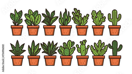 Collection of potted green houseplants and cacti in terracotta pots