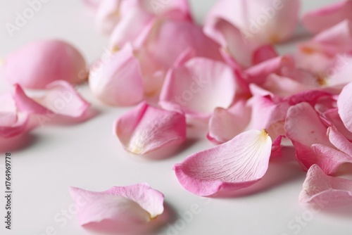 Delicate pink petals scattered on a light backdrop with cream and white accents, showcasing natural curves and folds for a picturesque floral aesthetic. Perfect for nature-themed projects