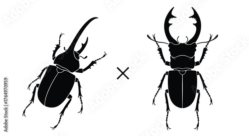 Beetle Mating Silhouette - A Fusion of Strength and Majesty.