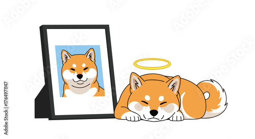 Shiba Inu Memorial - A Tribute to a Beloved Dog.