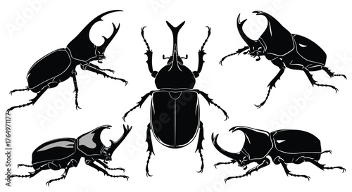 Silhouette of Rhinoceros Beetles in Various Poses.