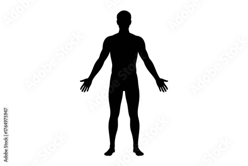 Vector art of human body silhouette for medical or fitness concept
