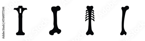 Diverse stylized bone structure digital graphics collection ideal for anatomy education medical presentations and skeletal biology concepts