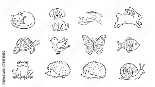 Animal Sketches: A collection of charming animal sketches perfect for creative projects, featuring a diverse array of creatures including a cat, dog, rabbit, turtle, bird, butterfly, fish, frog.