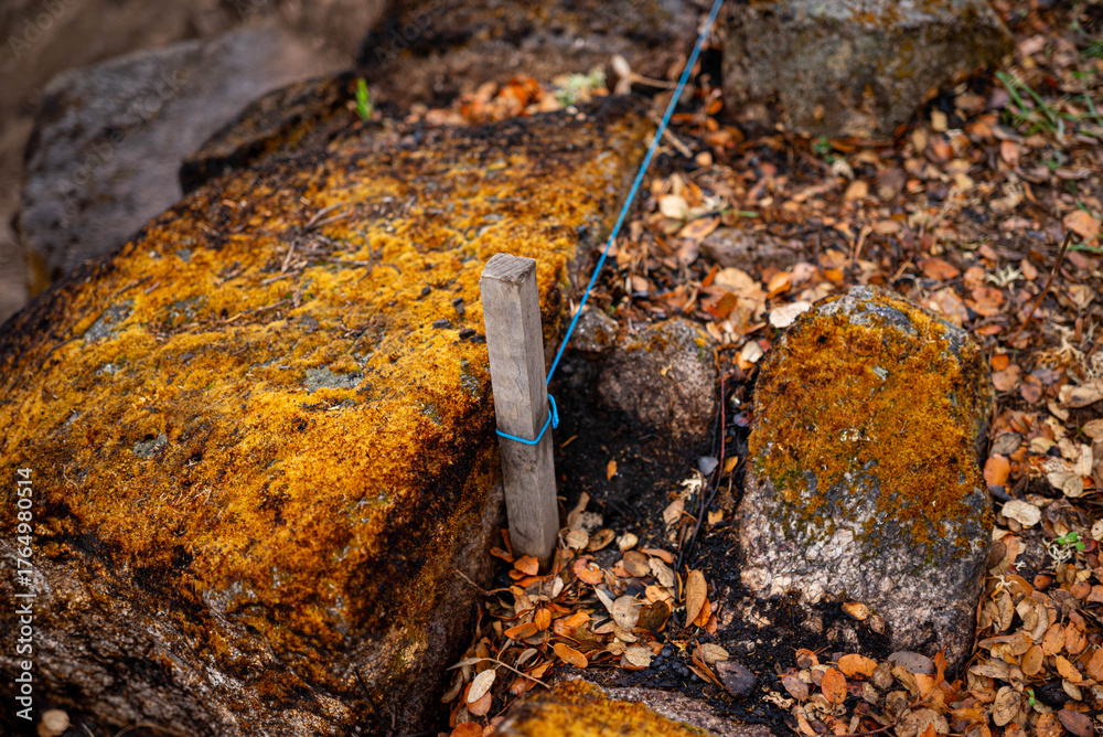 Fototapeta premium A close up of marking tools at an archaeological excavation site The Detailed Work of Uncovering History