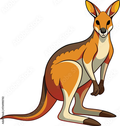 Australian wallaroo kangaroo standing gracefully isolated on transparent background for wildlife and nature designs isolated on white background