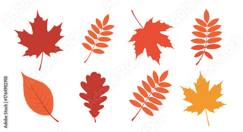 Autumn Leaves Collection - Vibrant Fall Foliage Illustration.