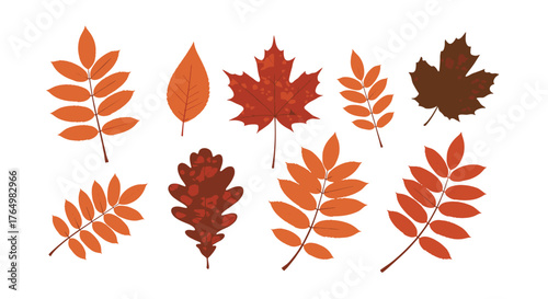 Autumn Leaves Collection - Vibrant Fall Foliage Vector Illustration.