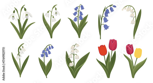Collection of Spring Flowers - Snowdrops, Bluebells, and Tulips.