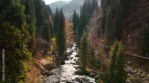 Aerial view panorama of yellow autumn forest in Almaty