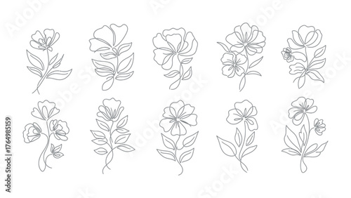 Botanical Blooms: A collection of exquisite line art showcasing a diverse array of delicate floral arrangements, each meticulously rendered to highlight the grace and charm of nature's artistry.