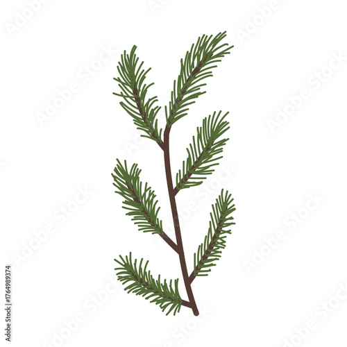 Green pine branch with needle leaves, ideal for crafting and decorating, displayed against a white background