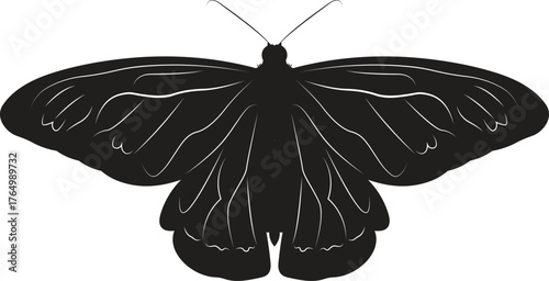 Monochrome Butterfly Silhouette Vector with Clean Line Art