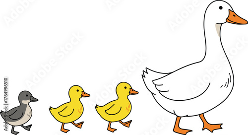 Duck, Duckling, Animal, Cartoon, Family, Nature, Cute, Walking, Line, Yellow, White, Gray, Baby, Bird, Wildlife, Parenting, Behavior, Illustration, Follow, Outdoor