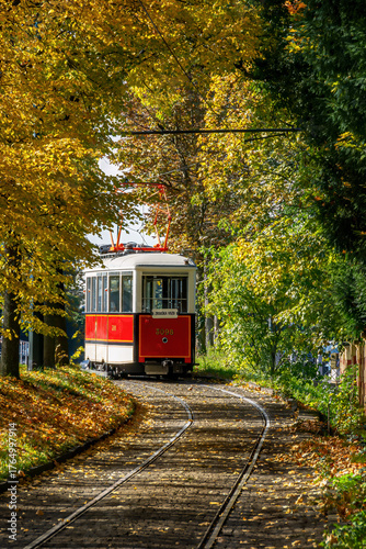 Vintage red tram seen from behind on a tree-lined track in Prague during autumn, surrounded by golden leaves and warm sunlight, perfect travel and seasonal image.