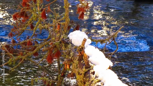 Vidéo plan fixe de l’eau qui court dans la rivière Têt avec de la neige dans les Pyrénées françaises
amidst forests, fir trees, rocks and tree trunks
