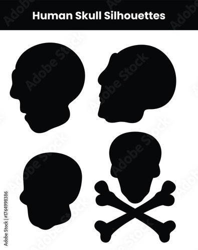 Human skull collection set silhouettes isolated on white background showing detailed bone and head shapes perfect for anatomy design horror illustration and vector artwork projects