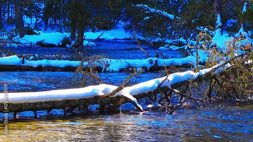 Vidéo plan fixe de l’eau qui court dans la rivière Têt avec de la neige dans les Pyrénées françaises
amidst forests, fir trees, rocks and tree trunks
