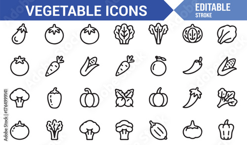 Fresh Vegetables Icon Collection — Outline Vector Illustrations of Natural Food Items