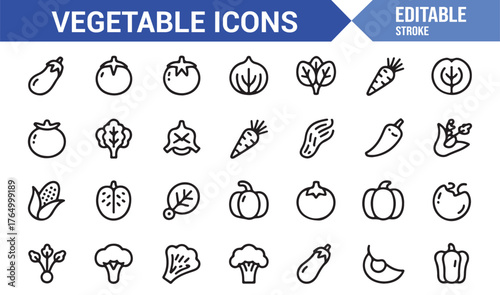 Editable Vector Set of Vegetable Icons — Outline Illustrations for Farm and Food Design