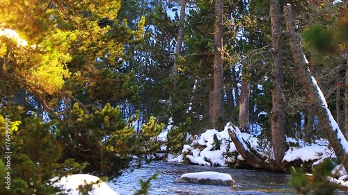 Vidéo plan fixe de l’eau qui court dans la rivière Têt avec de la neige dans les Pyrénées françaises
amidst forests, fir trees, rocks and tree trunks
