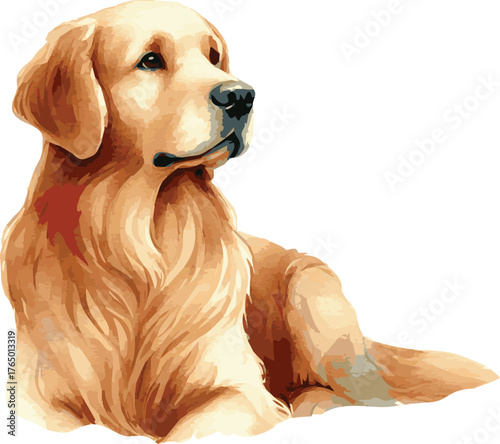Vector watercolor painted illustration of a golden retriever