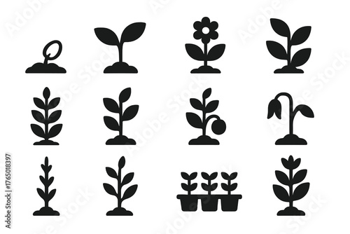 Plant Growth Icons. Solid style icons of Plant Growth: seed sprout, small leaves, young plant, growing stem, leafy plant,