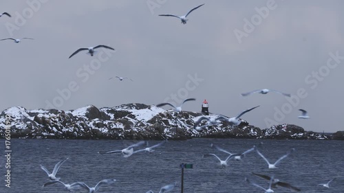 Seagulls flying above the sea with white wings over blue water and surf spray along a sunny shoreline