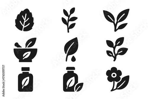 Herbal Element Icons. Solid style icons of herbal and organic elements: mint leaf icon, herbal branch, tea leaves, essential oil