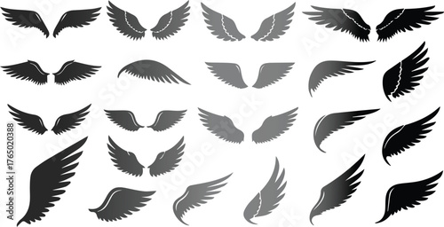 Collection of diverse angel wings silhouettes in various styles and poses