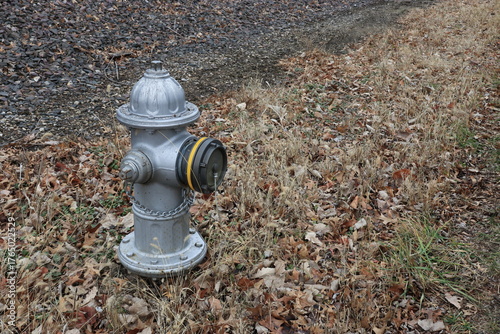 Gray Fire Hydrant Among Autumn Foxtails and Grass
