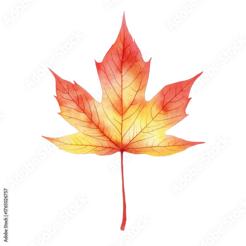 Watercolor christmas garland with red berries and pine needles