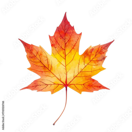 Watercolor christmas wreath frame with pine needles and red berries