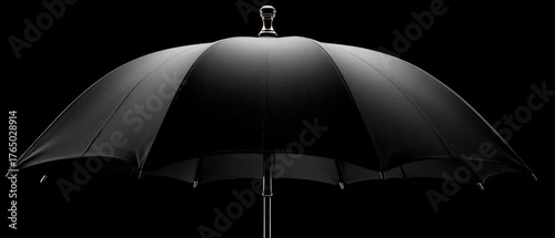 Elegant black umbrella with highlighted ribs and ferrule tip on dark background