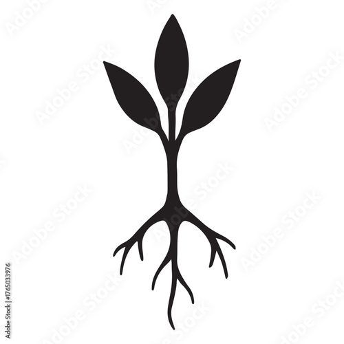 Ginseng Root Silhouette Icon – Herbal Energy & Wellness Illustration