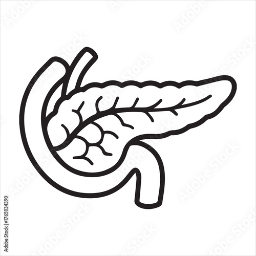 Minimal vector icon of a pancreas